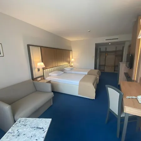 酒店 传奇酒店 索菲亞